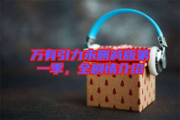 萬有引力未刪減版第一季，全劇情介紹