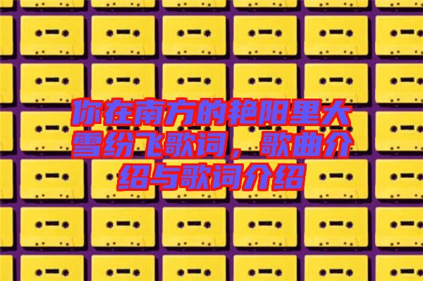 你在南方的艷陽(yáng)里大雪紛飛歌詞，歌曲介紹與歌詞介紹