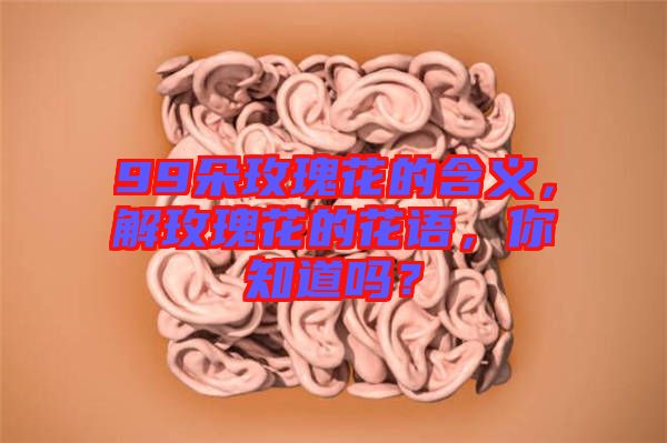 99朵玫瑰花的含義，解玫瑰花的花語，你知道嗎？