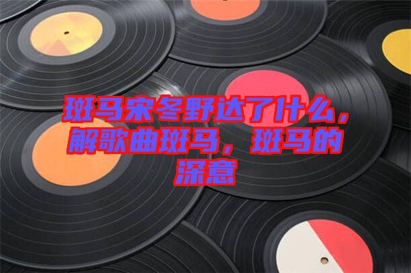 斑馬宋冬野達(dá)了什么，解歌曲斑馬，斑馬的深意
