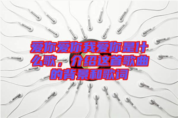 愛你愛你我愛你是什么歌，介紹這首歌曲的背景和歌詞
