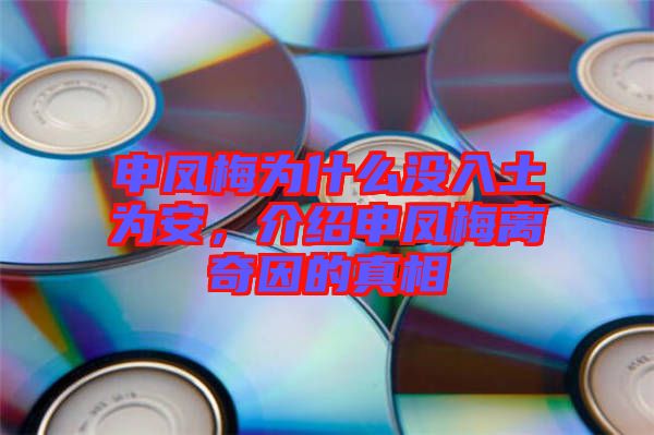 申鳳梅為什么沒(méi)入土為安，介紹申鳳梅離奇因的真相