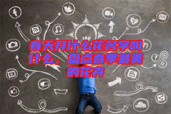 春天開什么花名字叫什么，盤點春季最美的花卉