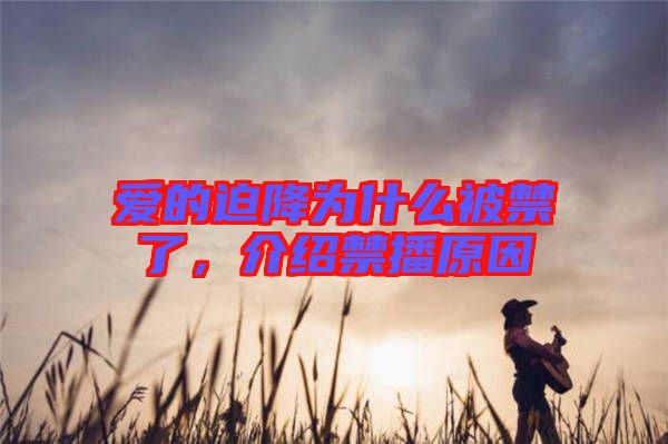 愛的迫降為什么被禁了，介紹禁播原因
