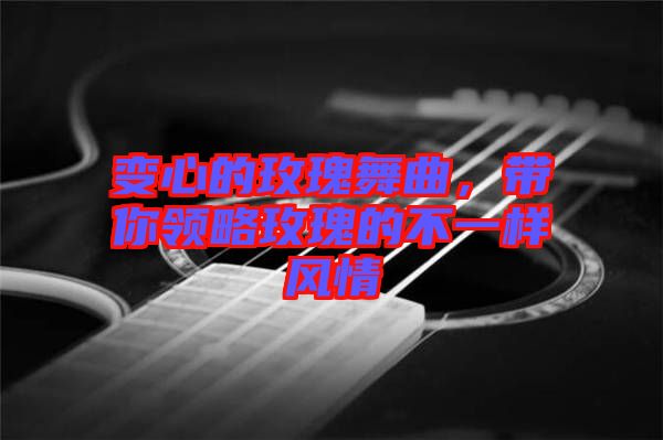 變心的玫瑰舞曲，帶你領(lǐng)略玫瑰的不一樣風(fēng)情