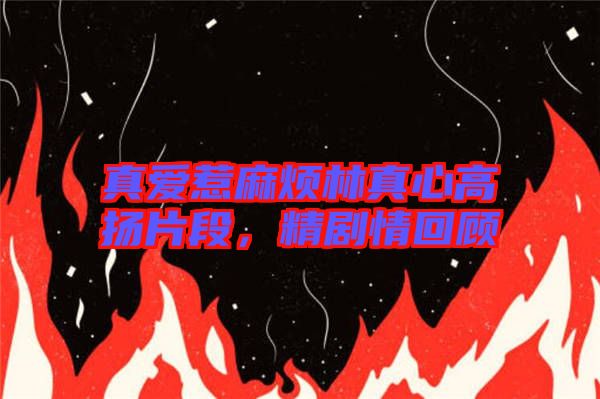 真愛惹麻煩林真心高揚(yáng)片段，精劇情回顧