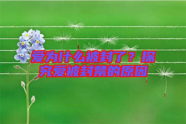 愛(ài)為什么被封了？探究愛(ài)被封禁的原因