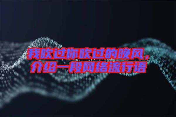 我吹過你吹過的晚風，介紹一段網(wǎng)絡(luò)流行語