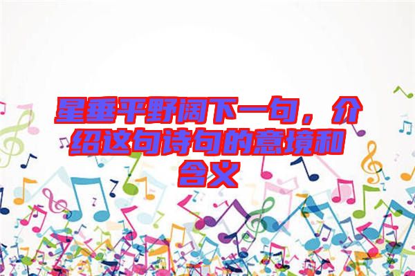 星垂平野闊下一句，介紹這句詩句的意境和含義