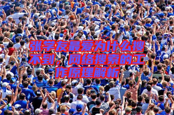 張學(xué)友最愛為什么搜不到，網(wǎng)絡(luò)搜索的工作原理解析