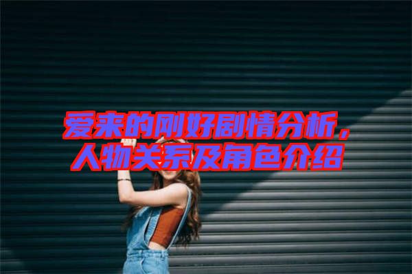 愛來的剛好劇情分析，人物關系及角色介紹