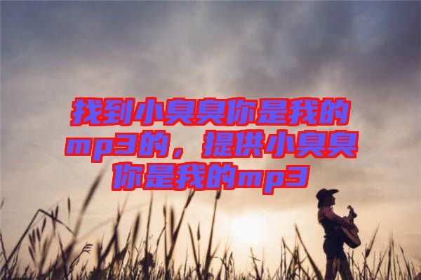 找到小臭臭你是我的mp3的，提供小臭臭你是我的mp3