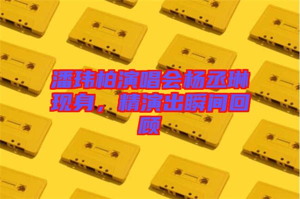 潘瑋柏演唱會(huì)楊丞琳現(xiàn)身，精演出瞬間回顧