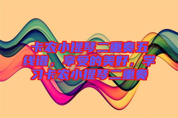 卡農(nóng)小提琴二重奏五線譜，享受的美好，學(xué)習(xí)卡農(nóng)小提琴二重奏