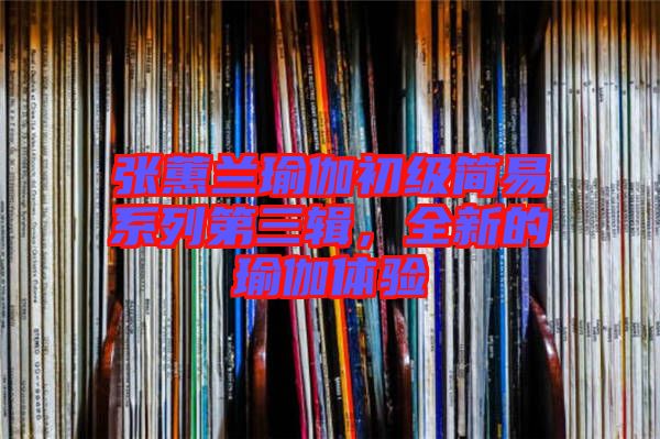 張蕙蘭瑜伽初級(jí)簡(jiǎn)易系列第三輯，全新的瑜伽體驗(yàn)