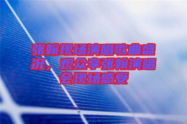 張翰現(xiàn)場演唱歌曲盛況，觀眾享張翰演唱會現(xiàn)場感受