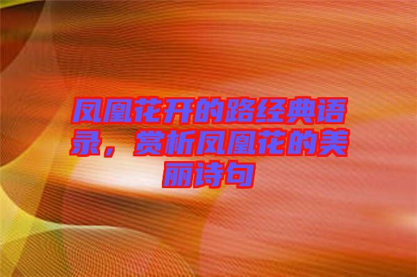 鳳凰花開的路經(jīng)典語錄，賞析鳳凰花的美麗詩句