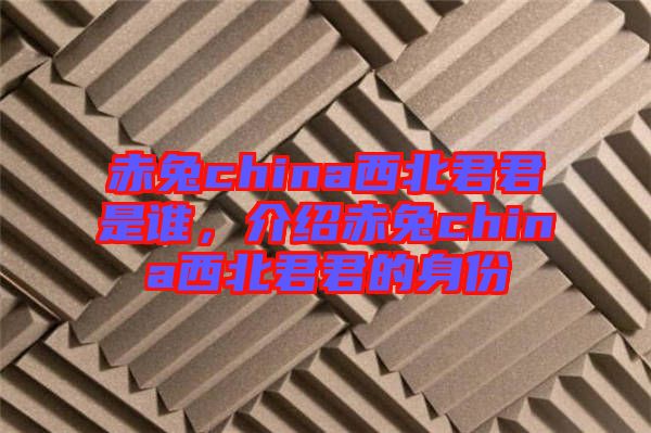 赤兔china西北君君是誰，介紹赤兔china西北君君的身份
