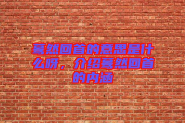 驀然回首的意思是什么呀，介紹驀然回首的內(nèi)涵