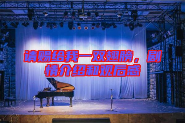 請賜給我一雙翅膀，劇情介紹和觀后感