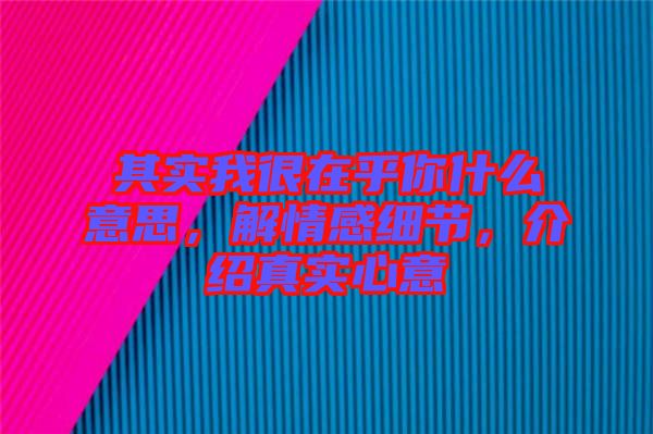 其實我很在乎你什么意思，解情感細節(jié)，介紹真實心意