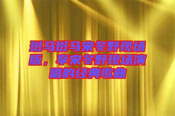 斑馬斑馬宋冬野現(xiàn)場版，享宋冬野現(xiàn)場演唱的經(jīng)典歌曲