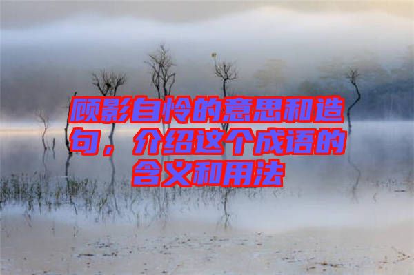 顧影自憐的意思和造句，介紹這個成語的含義和用法