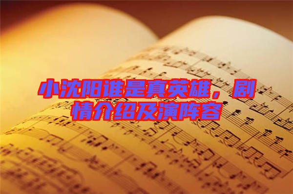 小沈陽誰是真英雄，劇情介紹及演陣容