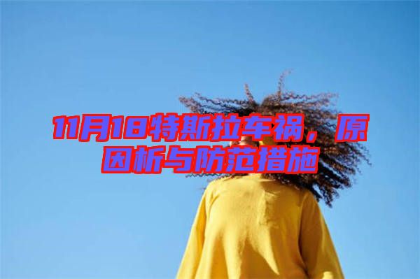 11月18特斯拉車禍，原因析與防范措施