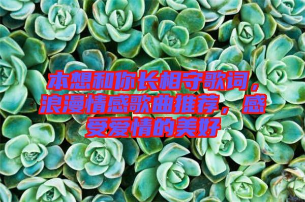 本想和你長相守歌詞，浪漫情感歌曲推薦，感受愛情的美好