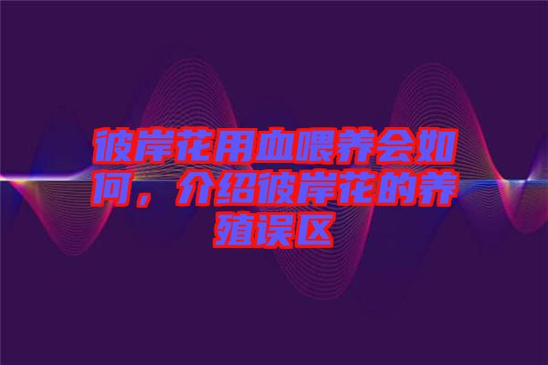 彼岸花用血喂養(yǎng)會如何，介紹彼岸花的養(yǎng)殖誤區(qū)
