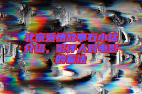 北京愛(ài)情故事石小猛介紹，影評(píng)人對(duì)電影的看法