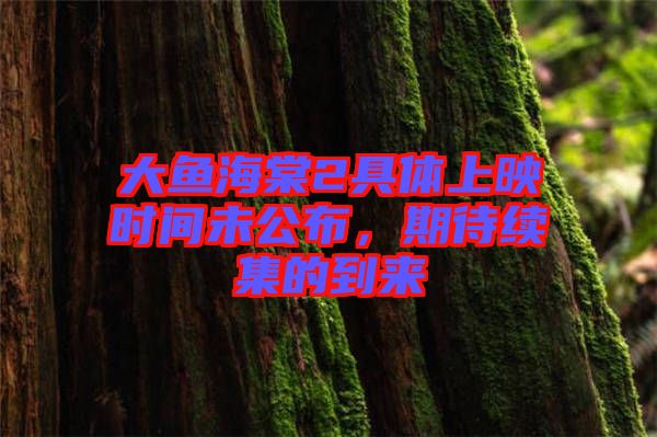 大魚海棠2具體上映時間未公布，期待續(xù)集的到來