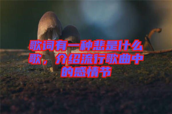歌詞有一種悲是什么歌，介紹流行歌曲中的感情節(jié)