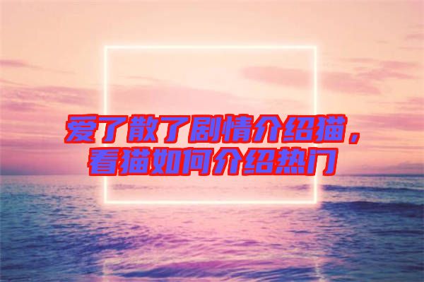 愛了散了劇情介紹貓，看貓如何介紹熱門