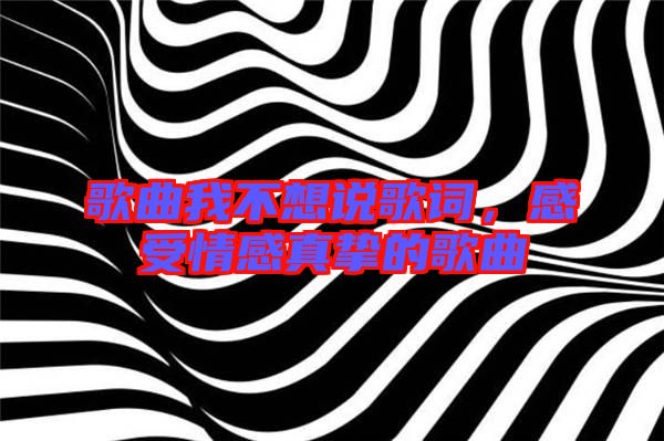 歌曲我不想說歌詞，感受情感真摯的歌曲