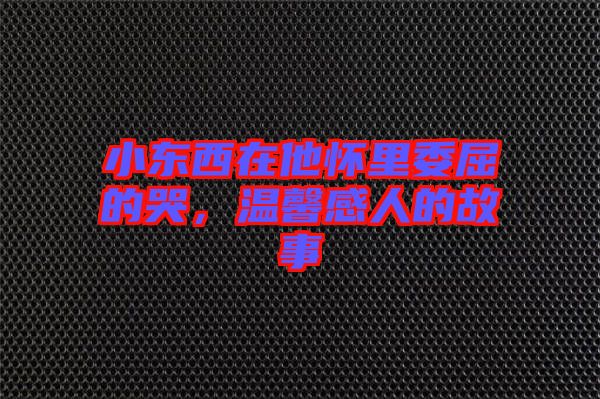 小東西在他懷里委屈的哭，溫馨感人的故事