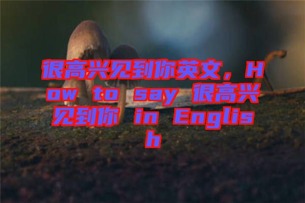 很高興見到你英文，How to say 很高興見到你 in English