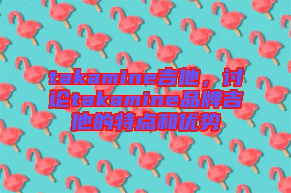 takamine吉他，討論takamine品牌吉他的特點(diǎn)和優(yōu)勢(shì)