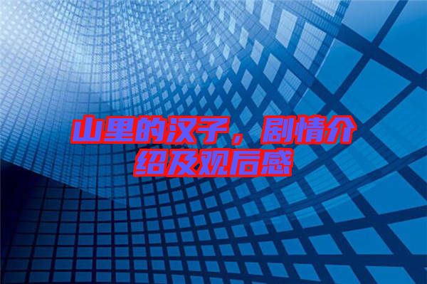 山里的漢子，劇情介紹及觀后感