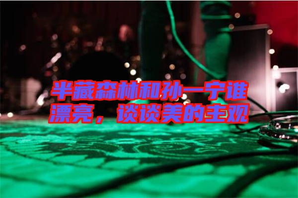 半藏森林和孫一寧誰(shuí)漂亮，談?wù)劽赖闹饔^