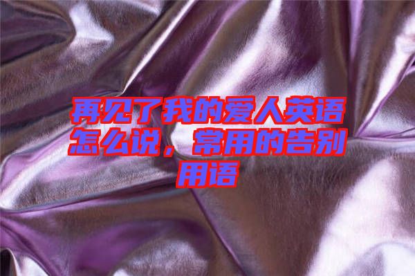 再見了我的愛人英語怎么說，常用的告別用語