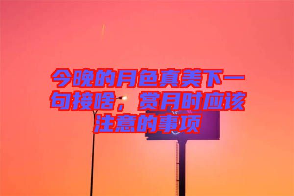 今晚的月色真美下一句接啥，賞月時應該注意的事項