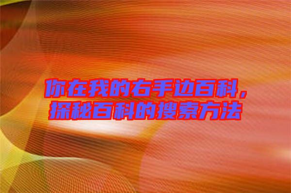 你在我的右手邊百科，探秘百科的搜索方法