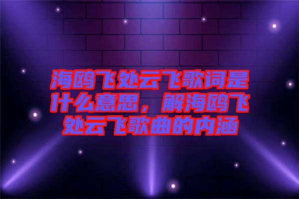海鷗飛處云飛歌詞是什么意思，解海鷗飛處云飛歌曲的內(nèi)涵