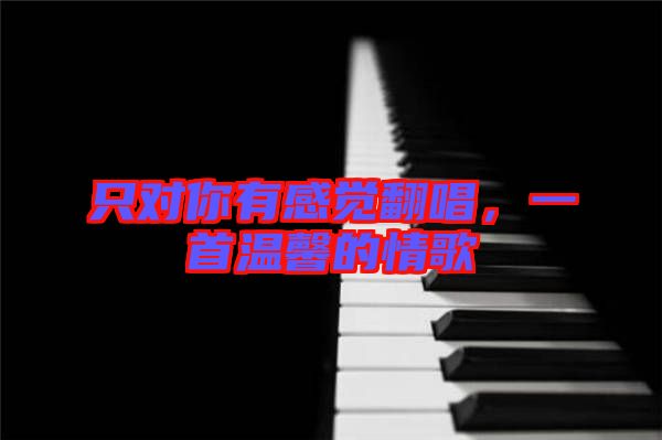 只對你有感覺翻唱，一首溫馨的情歌