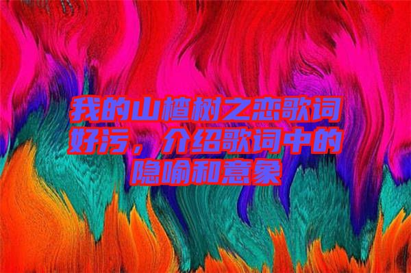 我的山楂樹之戀歌詞好污，介紹歌詞中的隱喻和意象