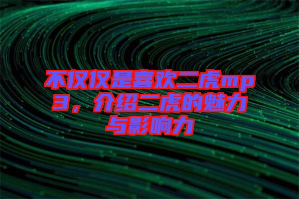 不僅僅是喜歡二虎mp3，介紹二虎的魅力與影響力