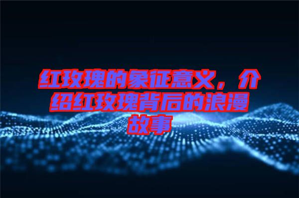 紅玫瑰的象征意義，介紹紅玫瑰背后的浪漫故事