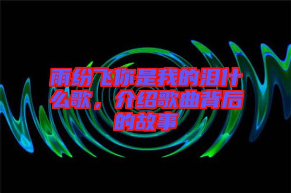 雨紛飛你是我的淚什么歌，介紹歌曲背后的故事